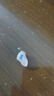 瑞聲達瑞聲達助聽器聆客系列浩聽二代老人耳聾耳背專用藍牙直連門店正品 聆客LT561+藍牙直連+隱形超小 全國2500門店聯(lián)保+門店同款 曬單實拍圖