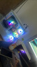 七彩虹英特爾14核超頻i5 13600KF+RTX5050/RTX5060Ti 16G獨顯臺式電腦主機i5 13400F+RTX4060/4070組裝機 配置五丨14核超頻14代酷睿i5+RTX505 曬單實(shí)拍圖