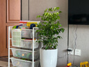 宜家（IKEA）JONAXEL尤納賽爾帶細(xì)網(wǎng)籃書架落地花架置物架衛(wèi)生間收納 儲物組合 密網(wǎng)籃25x51x70cm 曬單實拍圖