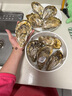 鮮海道 鮮活乳山生蠔5XL 凈重5斤 9-12只 生鮮海鮮貝類 源頭直發(fā) 曬單實拍圖
