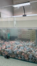 森森 小鯉魚(yú)缸水泵小型潛水泵過(guò)濾泵抽水泵XQP-500 6W 曬單實(shí)拍圖