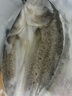 鮮京采三去海鱸魚(yú)3斤/3條 生鮮魚(yú)類(lèi) 白蕉鱸魚(yú)地標 中秋家宴魚(yú)類(lèi)源頭直發(fā) 曬單實(shí)拍圖