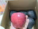 山姆大叔花牛蘋(píng)果甘肅天水【順豐多地次日達】脆甜粉面年貨禮盒水果禮盒 【金冠蜜甜果】特級巨無(wú)霸(單果85-90mm) 【尊貴送禮】12枚禮盒裝-顆顆臻選 曬單實(shí)拍圖