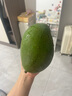 【新鮮上市】正宗攀枝花凱特芒果新鮮水果 帶箱2斤200g+ 曬單實拍圖