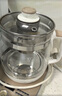 小熊（Bear） 熱水壺花茶壺煮茶壺煮茶器 養生壺配件 YSH-A15W6 壺蓋YSH-A15W6 曬單實(shí)拍圖