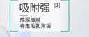 同仁堂去黑頭修復毛孔收縮毛孔撕拉面膜毛孔粗大粉刺去黑頭鼻貼男女士 曬單實(shí)拍圖