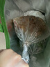 宜之選保鮮袋中號25*35cm加厚500只食品級塑料袋商用超市點(diǎn)斷式連卷袋 曬單實(shí)拍圖
