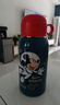 迪士尼（Disney）兒童保溫杯吸管直飲杯316不銹鋼大容量帶杯套雙蓋兩用650米奇老鼠 曬單實(shí)拍圖