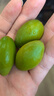 果齋園 當(dāng)季新鮮青橄欖果生橄欖青果煲湯泡茶潮汕大頭青兩頭尖橄欖水果 1斤裝 發(fā)圓通 曬單實(shí)拍圖