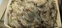 混元獸 蝦國產(chǎn)青島鮮捕大蝦特大號 青蝦凍海蝦生鮮 蝦類白蝦 青島鹽凍大蝦3- 4斤(凈重)  15-18厘米（店長推薦） 曬單實拍圖