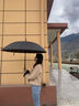 愛上雨24骨雨傘長柄男女士家用大號自動加固結(jié)實抗風(fēng)暴雨專用定制直桿傘 全纖維中棒-加大-24骨經(jīng)典黑 曬單實拍圖