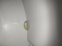 長(zhǎng)虹波輪洗衣機(jī)半自動(dòng)家用智能洗脫一體61升大容量1400轉(zhuǎn)高速脫水甩干公寓宿舍出租房小型專用 旋鈕版：61升大容量-1400轉(zhuǎn)高速脫水-洗脫一體 曬單實(shí)拍圖