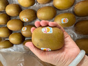 佳沛（zespri）新西蘭  陽(yáng)光金果22粒原箱 單果重144-175g 獼猴桃 中秋水果禮盒 曬單實(shí)拍圖