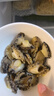 江船長(zhǎng) 冷凍鮑魚(yú) 凈重160g(18-22粒)袋裝 火鍋燒烤食材 海鮮生鮮 曬單實(shí)拍圖
