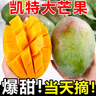 庾豐海南芒果新鮮現摘芒果孕婦水果 熱帶整箱當季大青皮芒果 需催熟 5斤甄選裝（凈重4.5斤） 曬單實(shí)拍圖