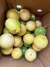京鮮生 欽蜜9號(hào)黃金百香果 3斤凈重70-90g/15-21個(gè)  生鮮水果 源頭直發(fā) 曬單實(shí)拍圖