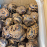 （順豐鎖鮮-可送到家）廣西桂林荔浦新鮮特大馬蹄 農(nóng)家現(xiàn)挖自種荸薺脆甜多汁火鍋材料新鮮蔬菜 特大果 5斤 曬單實拍圖