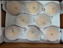 京鮮生 長城豐水梨 凈重5斤 單果250g+ 新鮮當季 生鮮水果 曬單實拍圖