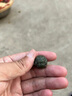 京鑒和田玉貔貅手串男女本命年手鏈佛珠父親節(jié)送男友老公爸爸禮物 湖水綠-旺財(cái)貔貅10mm【16顆】 曬單實(shí)拍圖