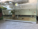 森森 超白玻璃小魚缸HWK-600P裸缸款水草缸金魚缸小型水族箱水草缸  曬單實拍圖
