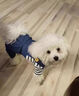 阿莫爾狗狗衣服秋冬款可牽引四腳背帶褲泰迪比熊博美小型犬寵物貓咪服裝 藍色【可牽引】 XL(建議10-13斤參考胸圍背長(cháng)) 曬單實(shí)拍圖