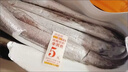 順豐野生整條帶魚(yú)海魚(yú)野生小眼帶魚(yú)整條帶魚(yú)鮮活速凍海捕帶魚(yú) 5斤整條帶魚(yú)【每斤1-2條】 曬單實(shí)拍圖