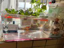 森森（SUNSUN）耀藍(lán)魚缸水泵小型潛水泵過濾泵抽水泵YQP-300 3W 曬單實拍圖