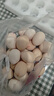 無(wú)抗鮮雞蛋 谷物喂養鮮雞蛋 50±5克/枚 早餐食材 蛋香味十足 30枚裝 曬單實(shí)拍圖