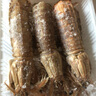 京鮮港 椒鹽風(fēng)味大號皮皮蝦凈含量500g 蝦爬子鮮活熟凍 鮮嫩飽滿(mǎn) 曬單實(shí)拍圖