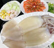 云儲生活大魷魚(yú)生鮮新鮮整只冷凍生烏賊鐵板燒烤火鍋食材專(zhuān)用凈重8兩/只*2 曬單實(shí)拍圖