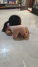 可韻（CORY）午睡枕小學(xué)生抱枕兒童趴睡枕頭便攜午覺(jué)成人辦公室午休神器 粉 曬單實(shí)拍圖