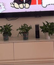 小米（MI）全屋路由器BE3600Pro套裝 【小米手機上網(wǎng)搭檔】信號覆蓋加倍 內置小米中樞網(wǎng)關(guān) 家用路由器 曬單實(shí)拍圖
