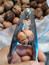 JCZS德國品牌開(kāi)核桃神器山核桃?jiàn)A子家用堅果榛子夏威夷果開(kāi)殼器剝胡桃 【橙色】四夾口升級防滑款(大小 曬單實(shí)拍圖