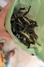 鮮窩窩 海茸絲120g 海茸干海筍干海菜冰筍海龍筋 涼拌菜海鮮素食 曬單實(shí)拍圖