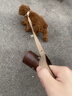 wakytu英國品牌狗狗頸圈脖圈項圈小狗中大型犬寵物用品泰迪牽引防爆沖 釉光棕【加固防掙脫+柔棉握把】 適用于6-20斤狗狗 曬單實拍圖