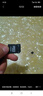 KDA256GB高速通用TF卡手機內(nèi)存卡行車記錄儀microSD卡監(jiān)控攝像頭mp34 128G高速通用【配讀卡器sd卡套】 曬單實拍圖
