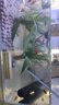 YEE超白魚(yú)缸桌面客廳生態(tài)斗金魚(yú)烏龜缸造景小型水草養魚(yú)玻璃裸缸40cm 曬單實(shí)拍圖