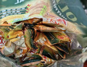 金味原味家庭裝1500g（30g*50袋）即食燕麥片 早餐沖飲谷物 送禮佳品 曬單實(shí)拍圖