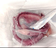 大脆口魷魚須生鮮活八爪魚冷凍章魚足新鮮腳海鮮火鍋食材章魚須 三斤裝【章魚足】 曬單實拍圖