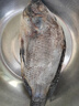 翔泰海南三去羅非魚/海南鯛1400g/共4條免處理 生鮮魚類 海鮮水產(chǎn)  曬單實拍圖