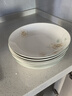 琉皓景德鎮(zhèn)釉下彩陶瓷碗飯碗健康中式小清新可微波餐具加厚防燙米飯碗 10碗10盤(5碗+8盤) 曬單實拍圖
