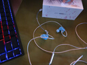 EPZ g20 游戲耳機(jī) 有線耳機(jī)入耳式電競(jìng)耳塞 fps電腦耳機(jī)專業(yè)競(jìng)技聽聲辨位隔音降噪麥克風(fēng)耳麥type-c線 湖光藍(lán)【贈(zèng)游戲音樂雙線+USB頭】 曬單實(shí)拍圖