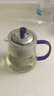 創(chuàng  )典（CHUANGDIAN）耐熱玻璃茶壺加厚透明泡茶壺過(guò)濾花茶壺沏沖茶器泡茶杯420ml 藍色 曬單實(shí)拍圖