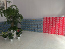 可口可樂(lè)（Coca-Cola）雪菲力 檸檬味鹽汽水 600mlx24瓶 整箱裝  曬單實(shí)拍圖