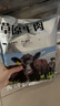 西成 澳洲谷飼原切牛肋條1.5kg 整塊原切 燉煮燒烤香煎牛肉 曬單實(shí)拍圖