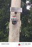 鐳威視4g太陽能攝像頭室戶外防水無需連wifi終身流量免電無電無網(wǎng)監(jiān)控家用360度全景全彩夜視追蹤農(nóng)村 高配【免充值】三畫面+64G卡 【PIR錄像】【日夜全彩】【聲光報警】 曬單實拍圖