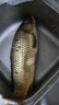 川澤子線雙鉤狼牙魚鉤競(jìng)技黑坑防纏繞魚鉤綁好套裝釣魚鉤成品全套漁具 競(jìng)技狼牙【細(xì)條】鉤9;線1.2-1.5 20付成品套裝 曬單實(shí)拍圖