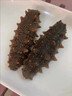 內(nèi)廷上用胖東來即食海參大連特產(chǎn)精品野生刺參極鮮遼參干貨500克獨立包裝 【14-18只/500克】極鮮好口感 胖東來甄選京自東營官方旗艦店 曬單實拍圖