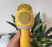 樂(lè )樂(lè )魚(yú)（leleyu）兒童話(huà)筒玩具3-6歲麥克風(fēng)音響一體藍牙唱歌機男女孩生日禮物 曬單實(shí)拍圖
