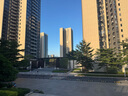 美素佳兒（Friso）港版金裝 HMO嬰幼兒奶粉3段 900g/罐(12-36個(gè)月) 進(jìn)口營(yíng)養奶粉 曬單實(shí)拍圖